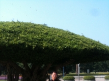 能认识大家很开心