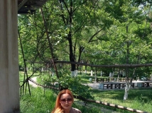 很高兴来到这里